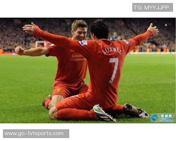 足球八大豪门的辉煌历史与未来展望解析